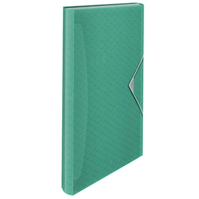 Image of Esselte A4 Expanding Concertina File, Clear Folder Organiser With 5 Tabs/6 Compartments, Home/Office, Embossed Pattern, Colour&#039;Breeze Range, Green, 626253