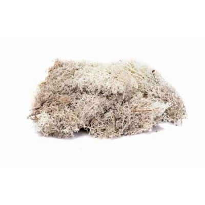 Image of Hornby R7193 Lichen Stone Grey for Model Railway OO Gauge, Train Accessories Adding Scenery, Dioramas, Woodland, Buildings and More, Making Kits 1:76 Scale Accessory