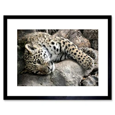 Image of Wee Blue Coo Sleepy Jaguar Big Cat Art Framed Wall Print