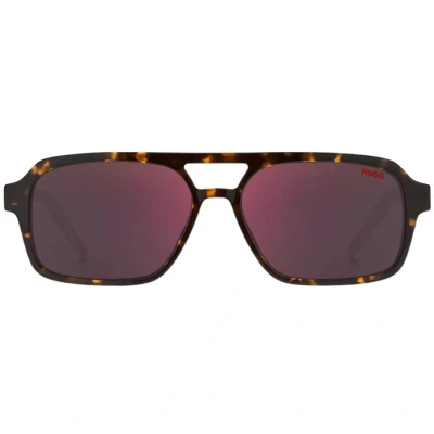 Image of Hugo Boss Mens 1241 0O63 AO Havana Sunglasses Brown One Size