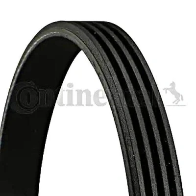 Image of 9004831032 V ribbed belt CONTITECH 4PK1560 1560mm 4 DAIHATSU: Terios I