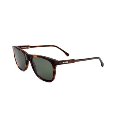 Image of LACOSTE EYEWEAR Men&#039;s L933S 214 Sunglasses, Havana, 53/20/145