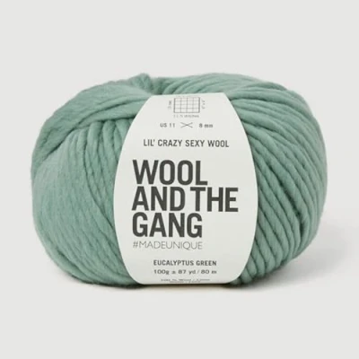 Image of Wool and the Gang, Lil&#039; Crazy Sexy Wool, Eucalyptus Green, 100g, Chunky
