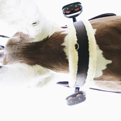 Image of Kentucky Horsewear Sheepskin Girth Brown 140cm Horse Riding Equestrian