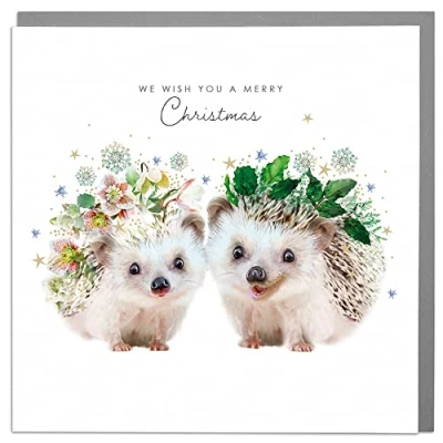 Image of Lola Design Warm Wishes Wildlife Christmas Cards Blank and Envelopes Hedgehogs
