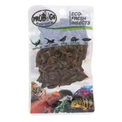 Image of ProBugs Eco Fresh Insects Black Soldier Fly Larvae 20g