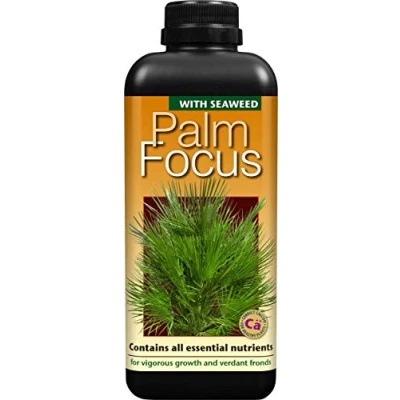 Image of Growth Technology Ltd,1L,Black Palm Focus 1 Litre