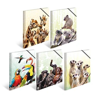 Image of HERMA 19956 Portfolio Folder DIN A4 Exotic Animals Set of 10 Sturdy Plastic Organiser with Printed Inner Flaps and Elastic Band, Document for Children, Boys Girls