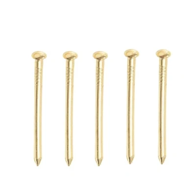 Image of Gold Nails 100 Pieces Brass Wall Pins 25mm Plated for Hanging Picture Frames Photos Art and Woodworking