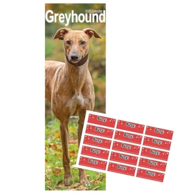 Image of Greyhound Calendar 2025 Slimline with FREE Organisational Stickers