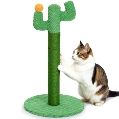 Image of Cat Scratching Post for Indoor Cats Happy &amp; Polly Cactus Scratch in Jute Rope 60cm Scratcher with Stable Base Kittens and Small