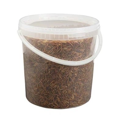 Image of Premium Dried Mealworms, 10 Litre Bucket