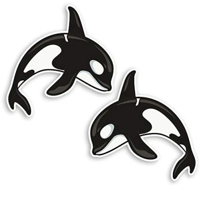 Image of 2 x 10cm Killer Whale Vinyl Stickers Orca Fun Ocean Sea Laptop Sticker #20880 (10cm Wide)