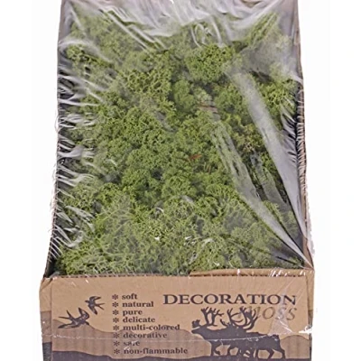 Image of artplants.de Genuine Icelandic moss SVEINBJÖRN, grass green, 500g Decorative
