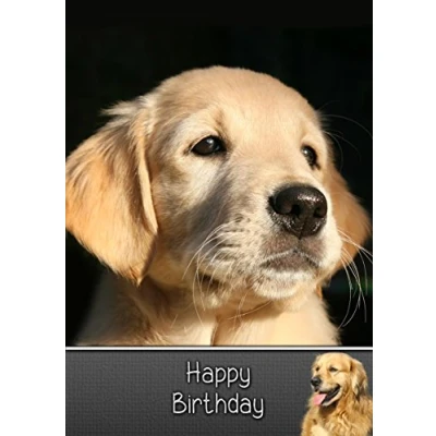 Image of Golden Retriever Birthday Card