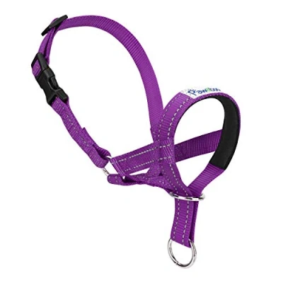 Image of Pawaboo Dog Muzzle, Head Halter Collar for Dog, Pet Nylon Reflective Adjustable Loop Anti Biting Barking Control Easy Fit Stops Pulling Leash, Small Size, Purple