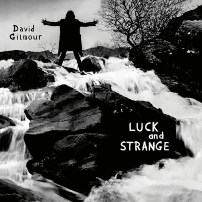 Image of David Gilmour Luck And Strange Opaque Silver vinyl Sealed 2024 UK LP 198028124416