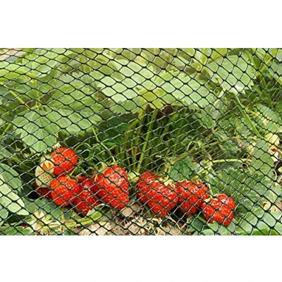 Image of Smart Garden Multi Mesh Green 15mm 1m x 5m