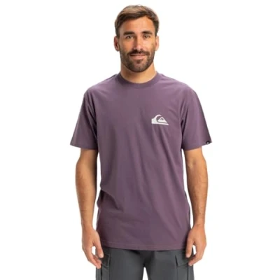 Image of Quiksilver EV MINI LOGO SS Basic Tshirt, Size: XS, Purple