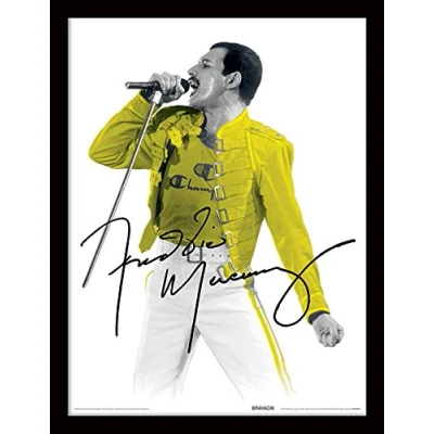 Image of Queen Framed Memorabilia, Multicoloured, 30 x 40cm