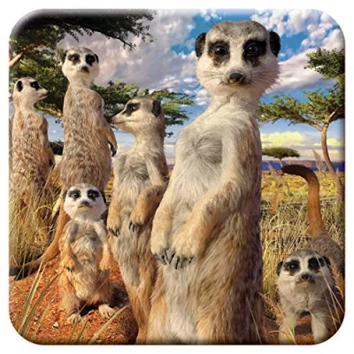 Image of 3D LiveLife Cork Coaster Meerkat Gaze from Deluxebase. Lenticular Safair Coaster. Non slip drinks mat with original artwork licensed renowned artist, David Penfound
