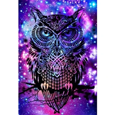 Image of OWN4B Cross Stitch Kits Stamped, Colorful Owl Printed Pattern 11CT 14.2x18.1 inch DIY Embroidery Kit (Owl)