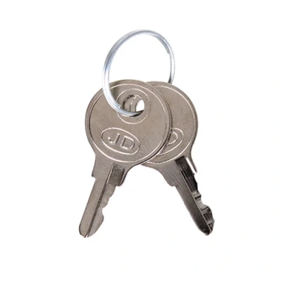 Image of Duceri Emergency Light Test Switch Spare Keys