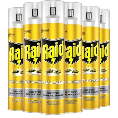 Image of Raid Wasp &amp; Hornet Killer, Fast Acting Aerosol Killer for Indoor Use, Pack of 6 (6 x 300ml)